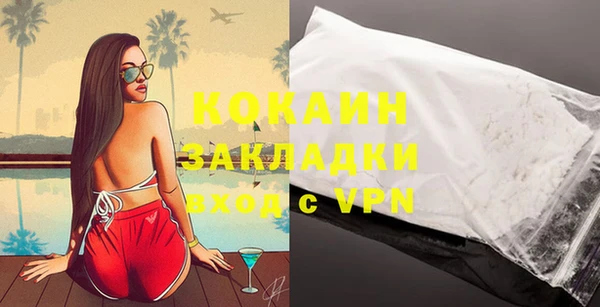 индика Аркадак