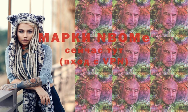 индика Аркадак