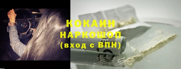 индика Аркадак