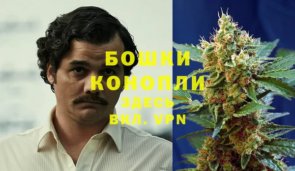 индика Аркадак