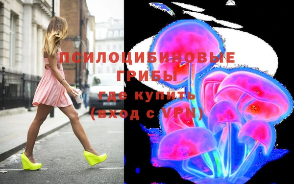 индика Аркадак