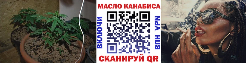 ТГК концентрат  Купить  Судогда 