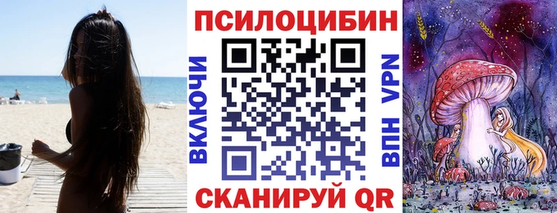 Псилоцибиновые грибы Psilocybine cubensis  Купить закладки  Судогда 